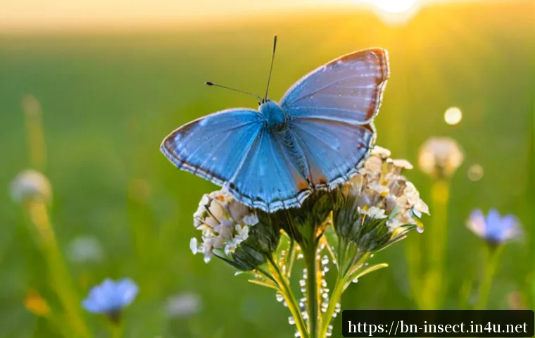 Home 17 곤충을 주제로 한 시 - Photorealistic close-up of a vibrant blue butterfly resting on a dew-covered wildflower at sunrise, ...