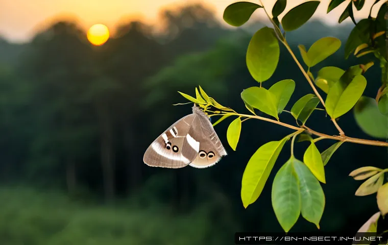 곤충 페로몬 역할 - Photorealistic macro scene of a female silk moth resting on a leafy branch at dusk, several male mot...